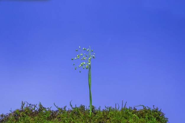 Index Funds: Your Low-Cost Path to Long-Term Wealth