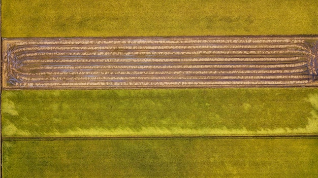 An aerial photograph of vast, meticulously organized farmland with fields of varying colors, representing different crops. The image should convey the scale and importance of agricultural commodities.