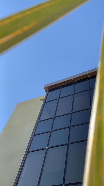 A close-up of modern solar panels installed on a residential rooftop, with a focus on the panels' sleek design and efficient layout. The shot emphasizes the technological aspect of solar energy generation.