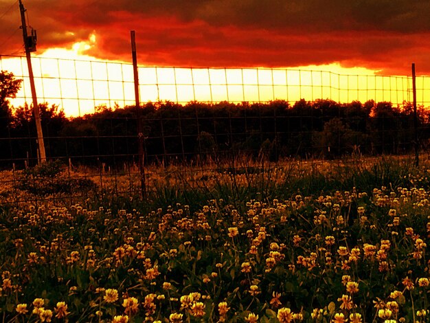 Investing in Renewable Energy: Your Guide to Profits in 2025
