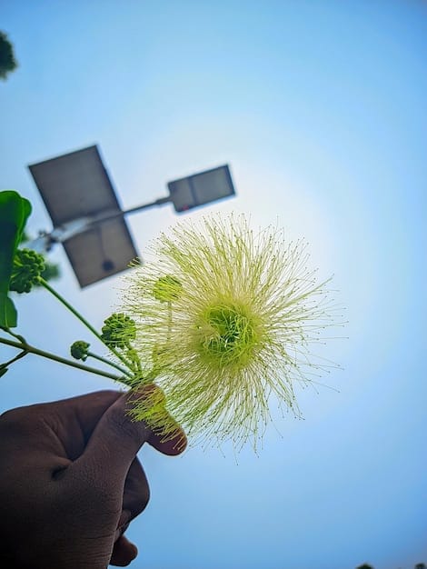 A close-up shot of a hand holding a seedling, with blurred background of wind turbines and solar panels, representing sustainable investment and clean energy.