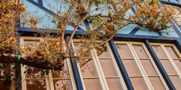 Maximize Your Savings: A Guide to Energy-Efficient Home Improvement Tax Credits in 2025 - Cover Image