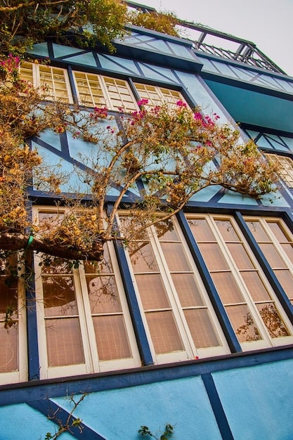 Maximize Your Savings: A Guide to Energy-Efficient Home Improvement Tax Credits in 2025